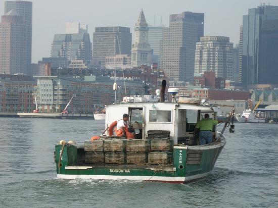 Lobster boat and Boston skyline from Green Turtle